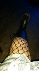 Bild 4915